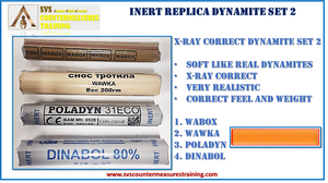 Copy of Inert Replica Dynamite Set 2